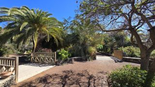 GC-Parque Botanico de Maspalomas 2025-051.jpg